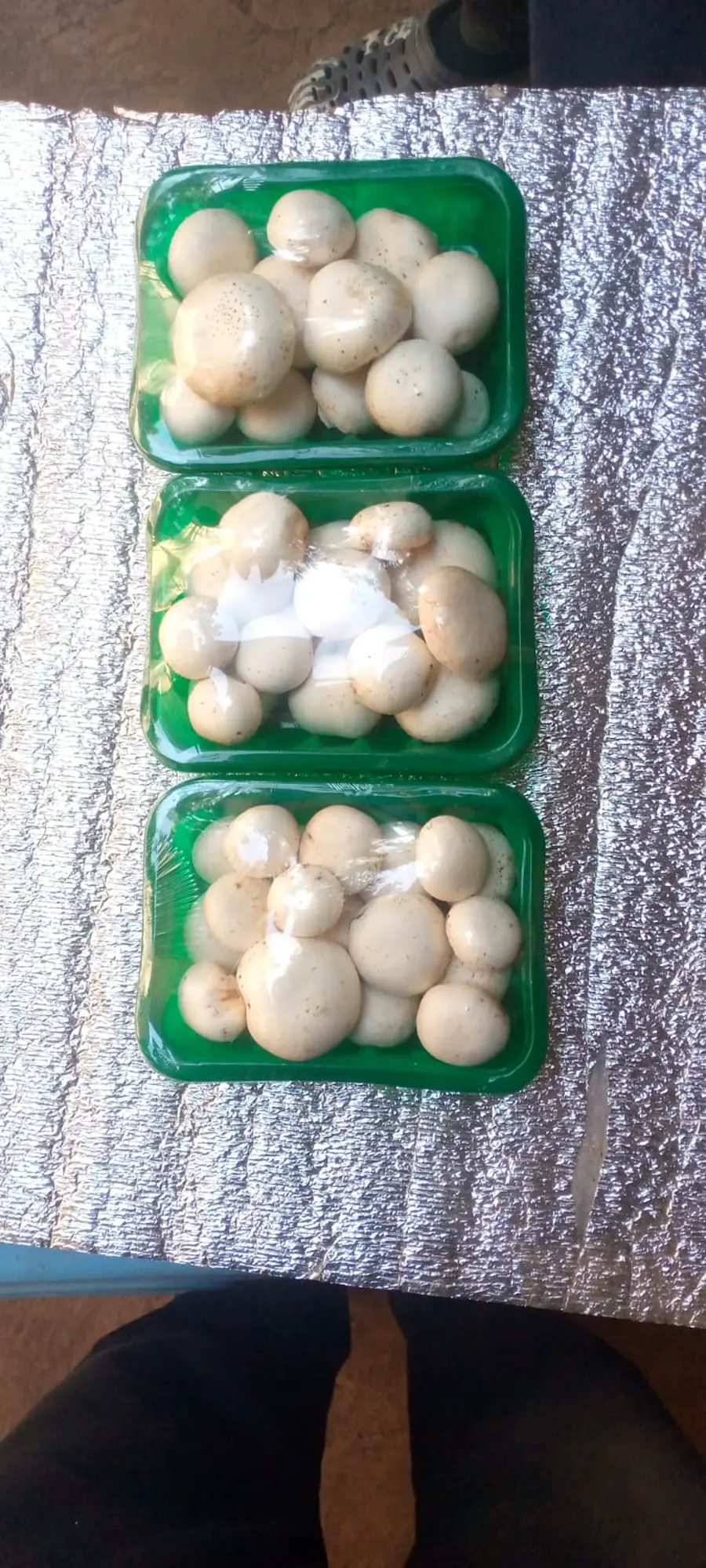 Packed white button mushrooms in green punnets